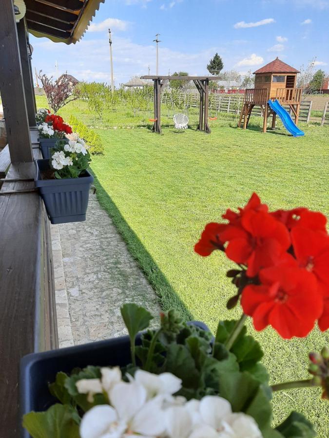 Dor De Casa Hotel Doljesti ภายนอก รูปภาพ