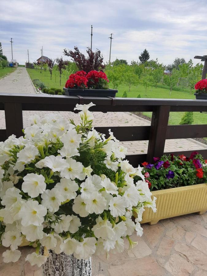Dor De Casa Hotel Doljesti ภายนอก รูปภาพ