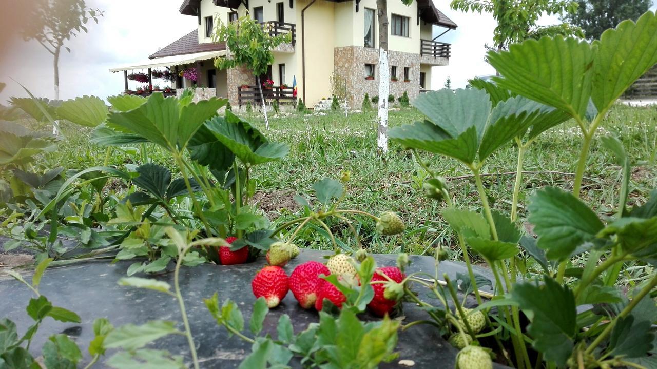 Dor De Casa Hotel Doljesti ภายนอก รูปภาพ